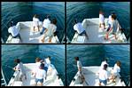 (09) montage (rig fishing).jpg    (1000x664)    378 KB                              click to see enlarged picture